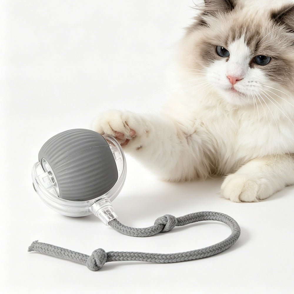 Interactive Rolling Pet Ball